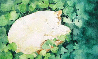 购买氨糖软骨素应注意:5块钱治好颈椎病